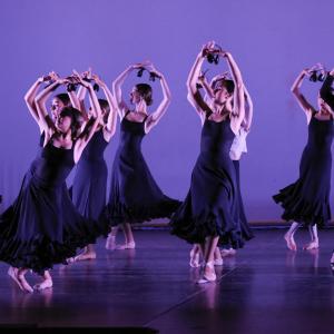 Fotografía de Talleres Baile Flamenco (galería 2) - Conservatorio de Danza
